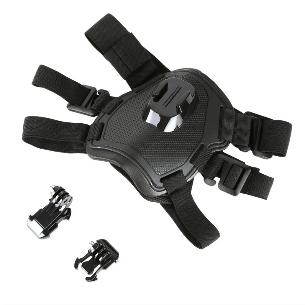 Tali Anjing Ambil Dapat Disesu - Runcam Camera ulasan dan harga